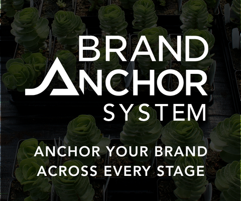 Brand Anchor System