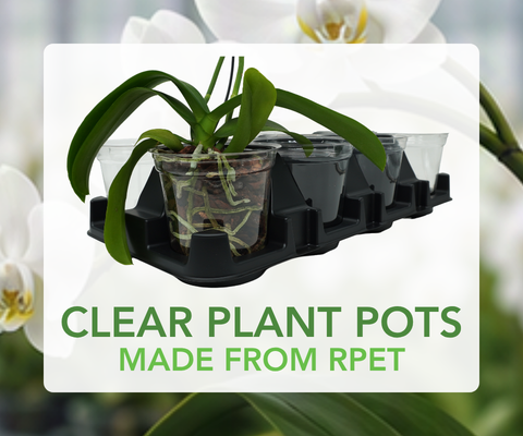 Clear Plant Pots