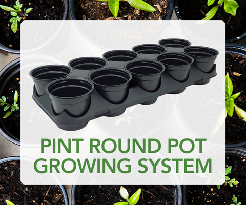 Pint Round Pot Growing System