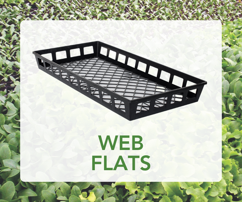 Web Flats