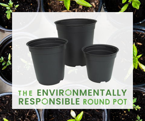 Round Pots
